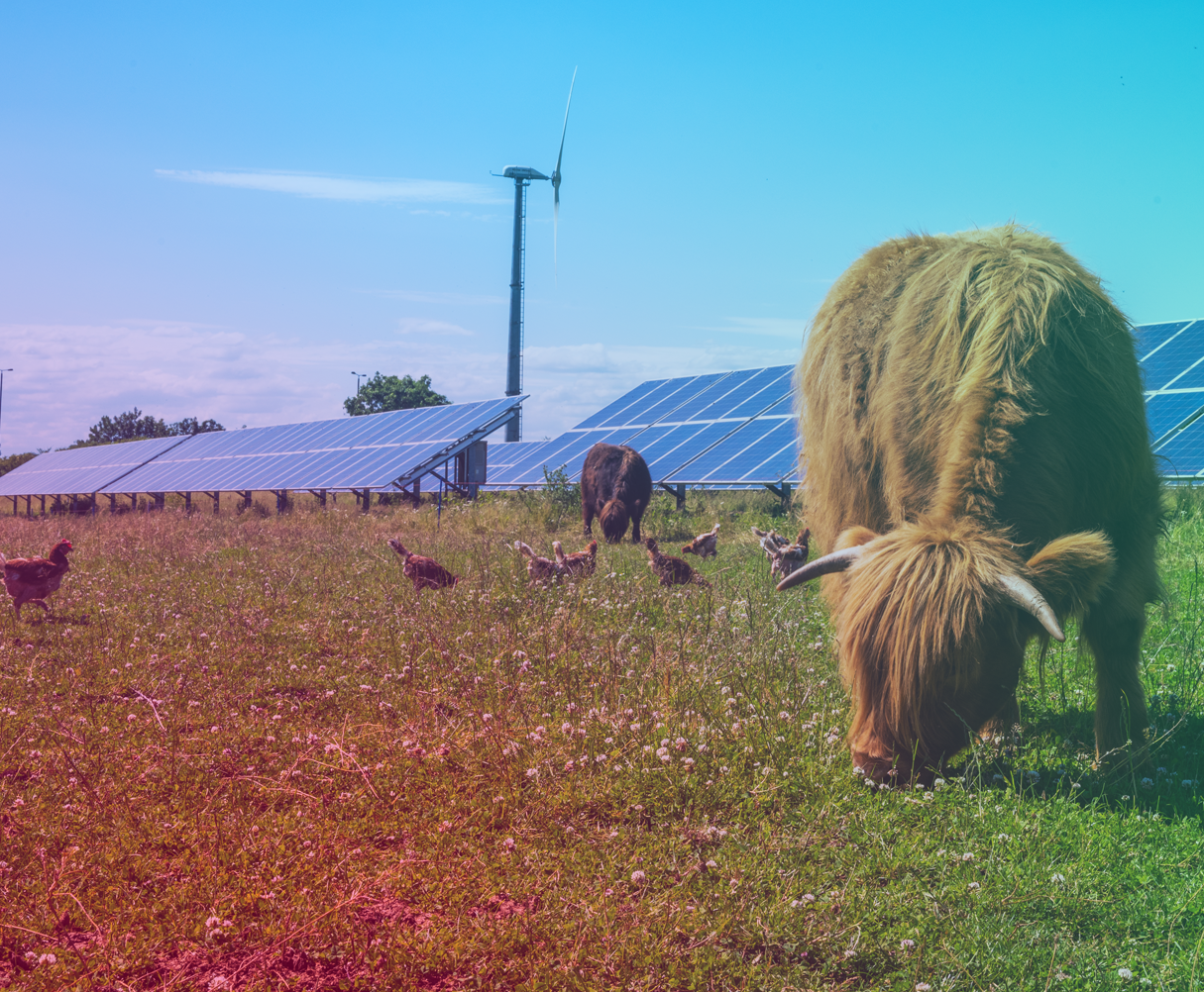 renewables and farming